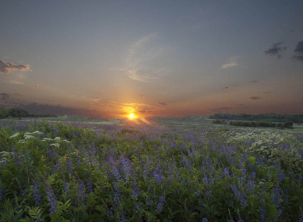 Photograph by Илюшечкина Екатерина