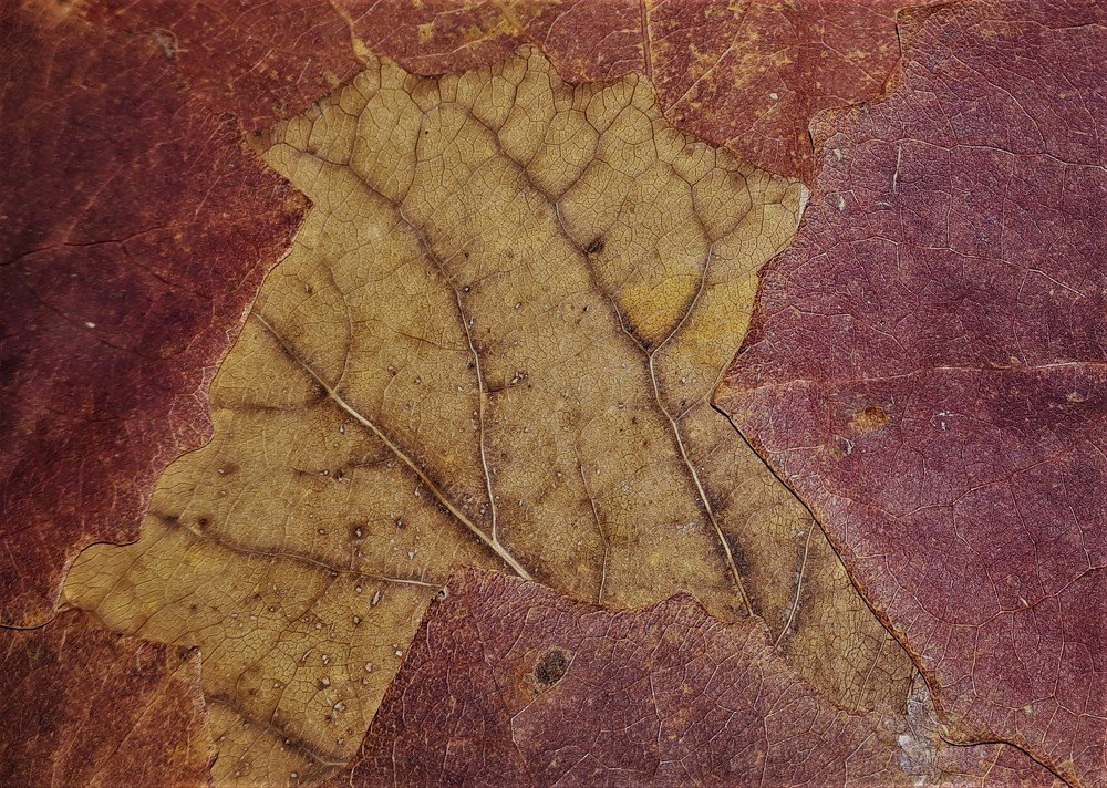 Photograph by Людмила Колеватова