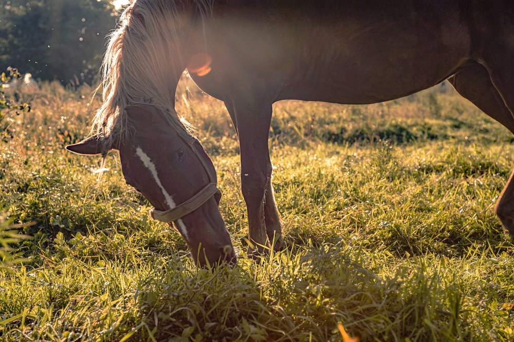 Photograph by Роман Смолко