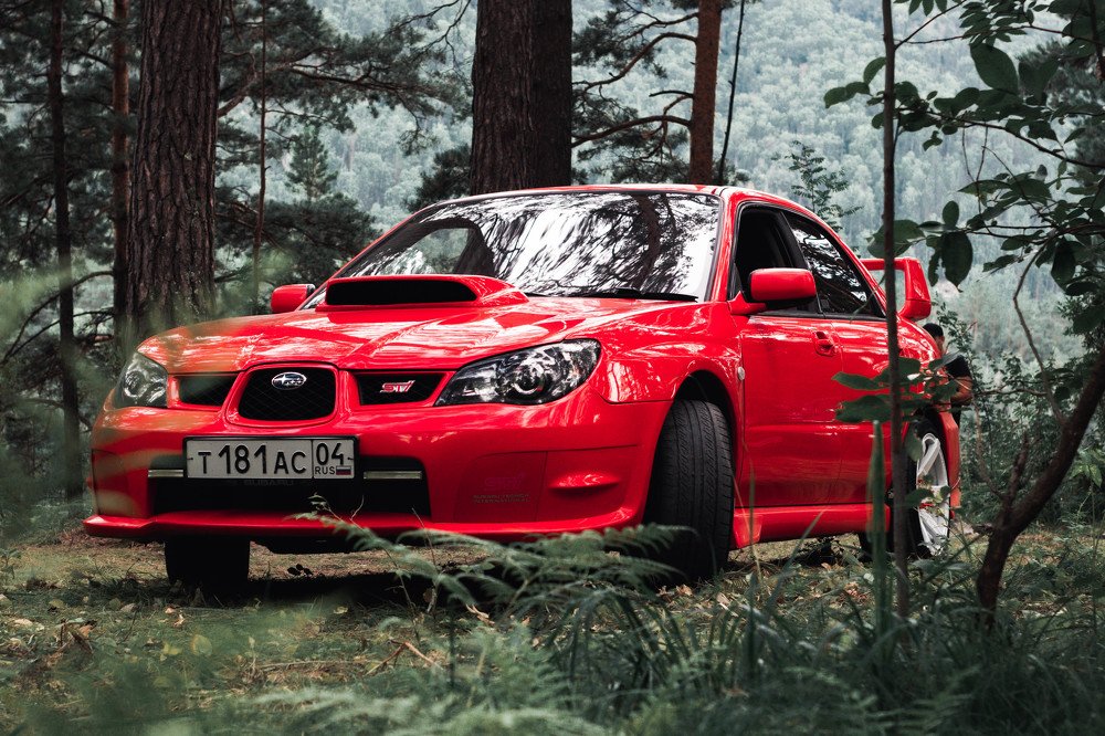 Photograph by Терентьев Георгий