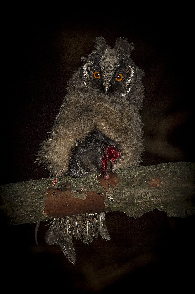 Photograph by Андрей Костромин