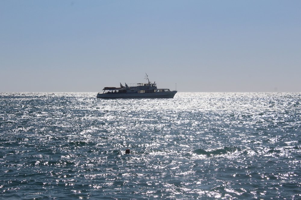 Photograph by Чернова Елена евгеньевна