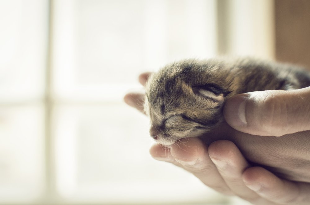 Жизнь в твоих руках