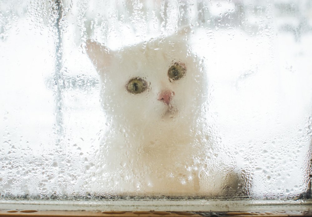 Photograph by Кристина Сотникова