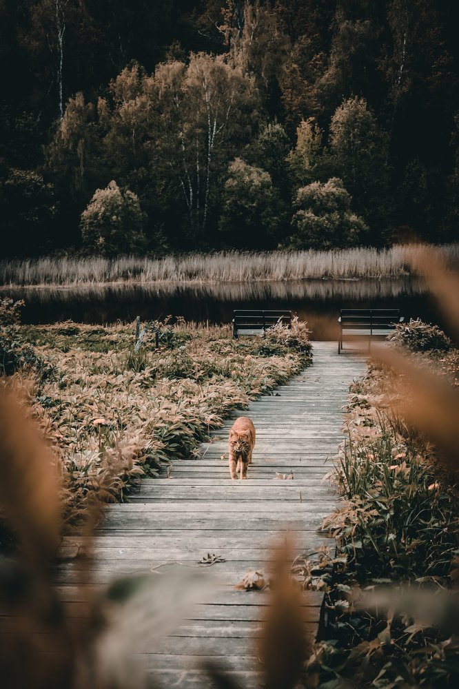 Photograph by Андрей Кутьин