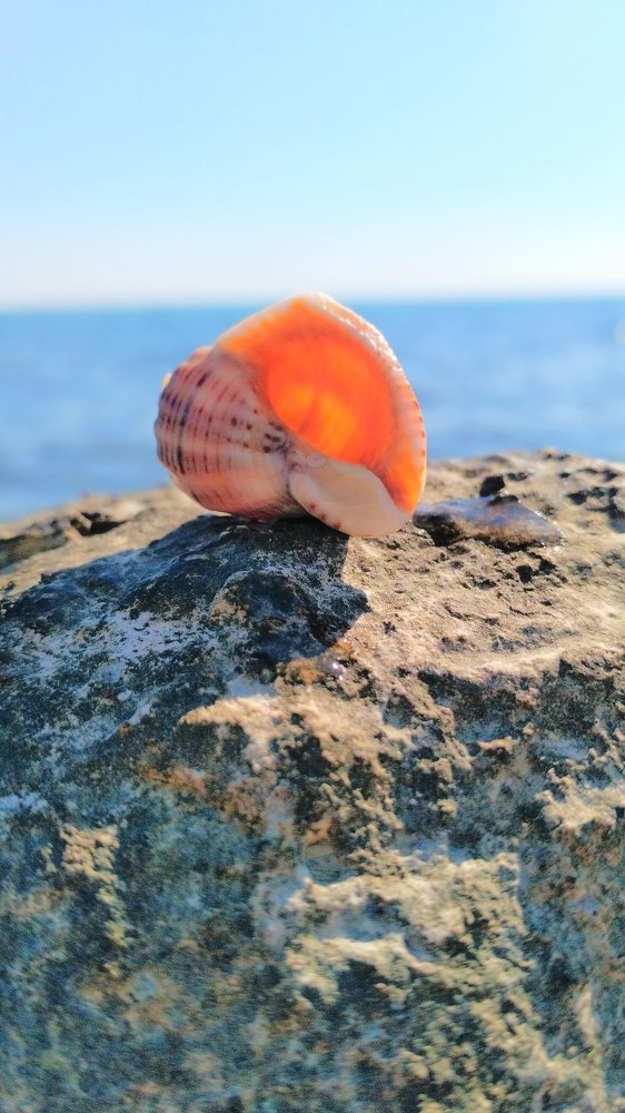 Photograph by Виктория Данилова