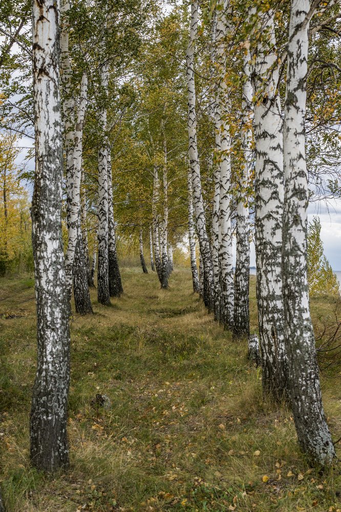 Photograph by Меркулова Наталья Геннадьевна