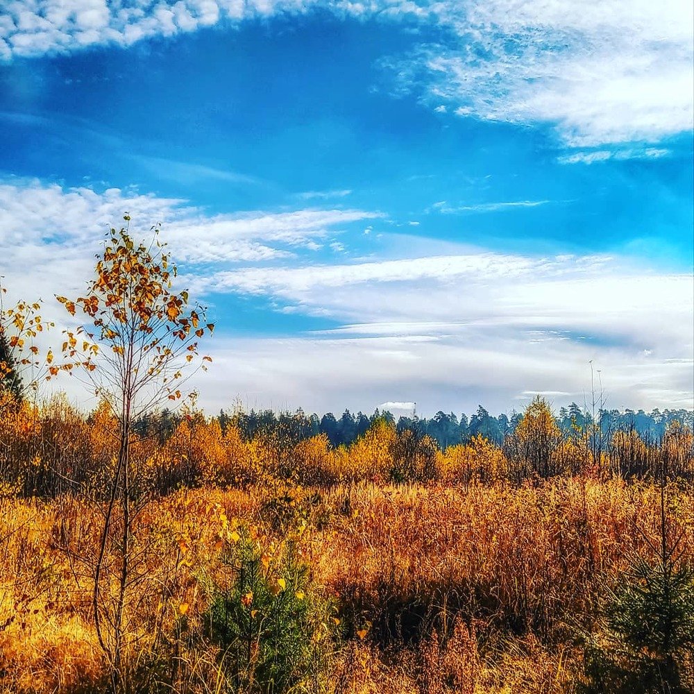 Photograph by Ольга