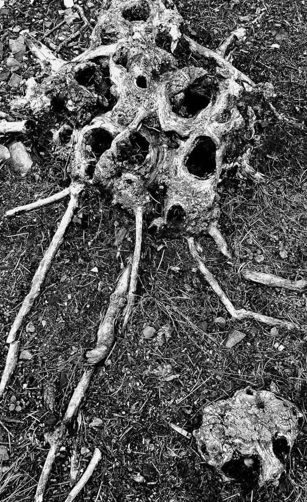 Photograph by Валерия Маркова