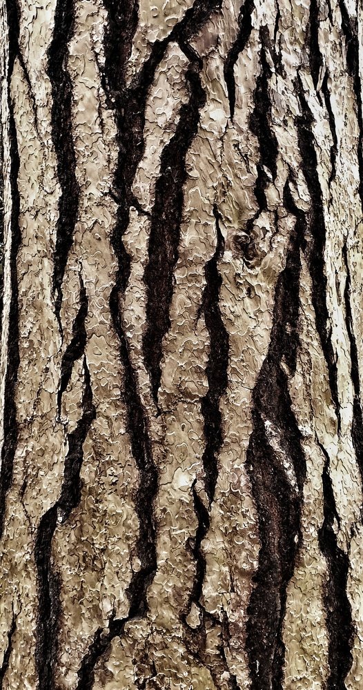 Photograph by Валерия Маркова