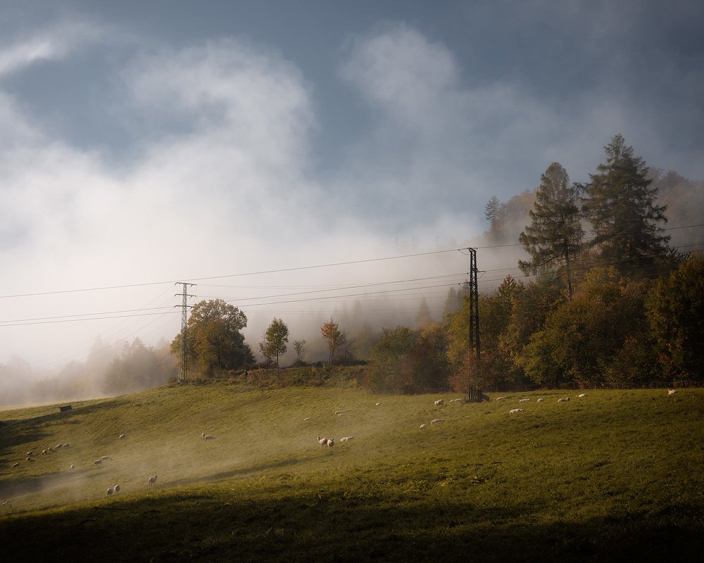 Photograph by Дмитрий Овчинников