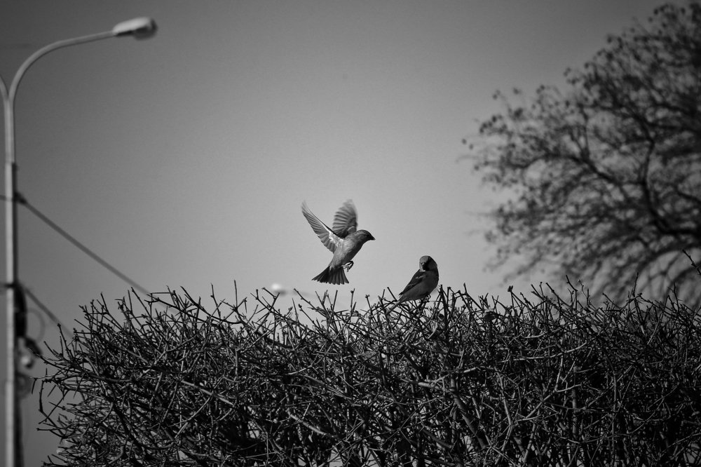 Photograph by Ирина Шумкова