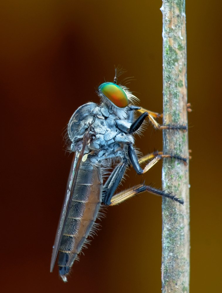 Photograph by Chuah Christopher