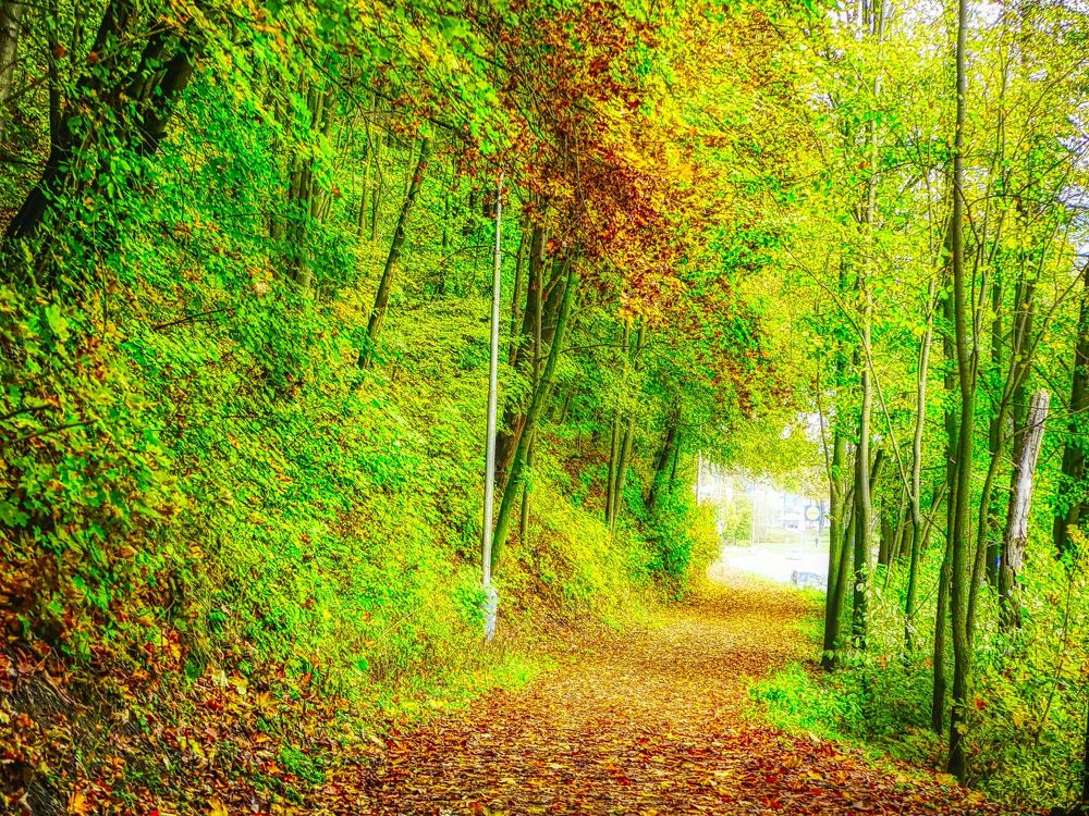 Photograph by Ondrej Pôbiš