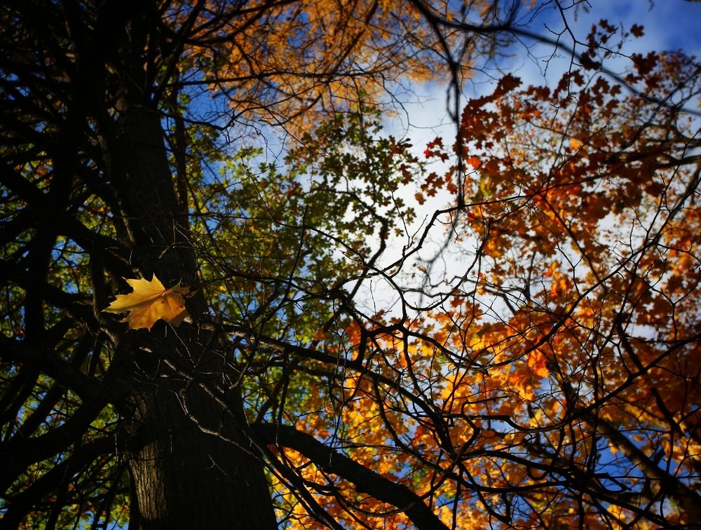 Photograph by Ирина Шумкова