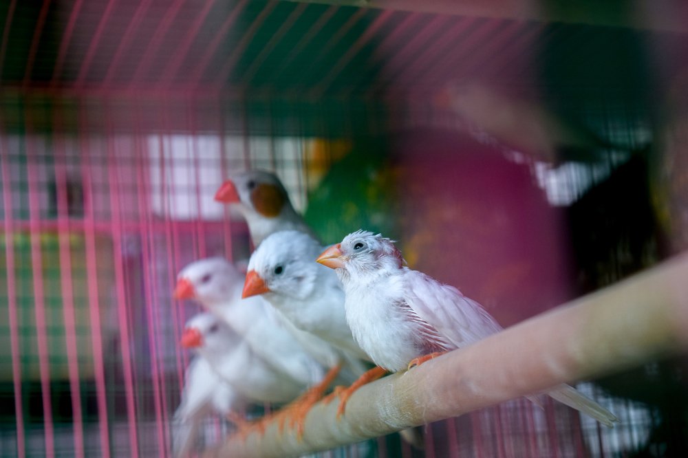 Photograph by Balakrishnan Aswathy