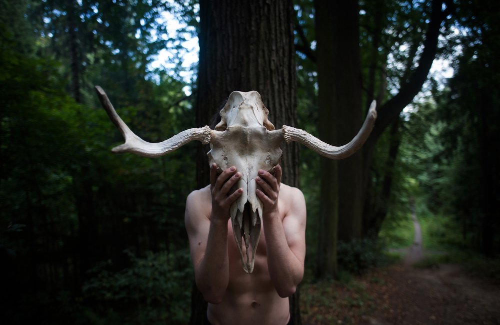 Photograph by Даркина Дарья