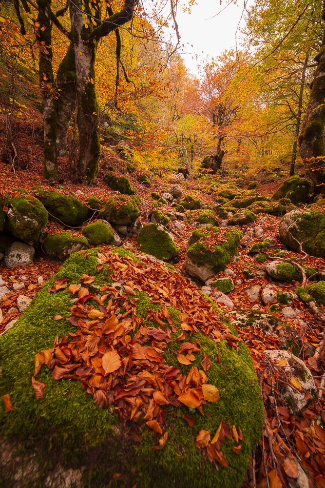 Photograph by Gianluca Pisano