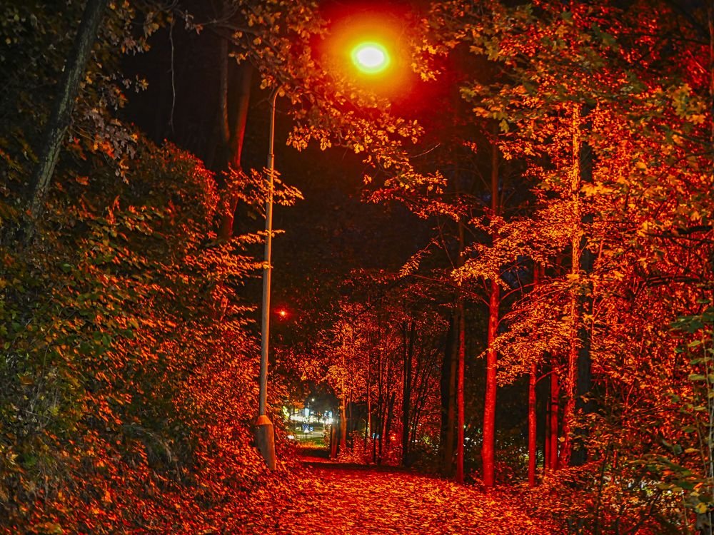 Photograph by Ondrej Pôbiš