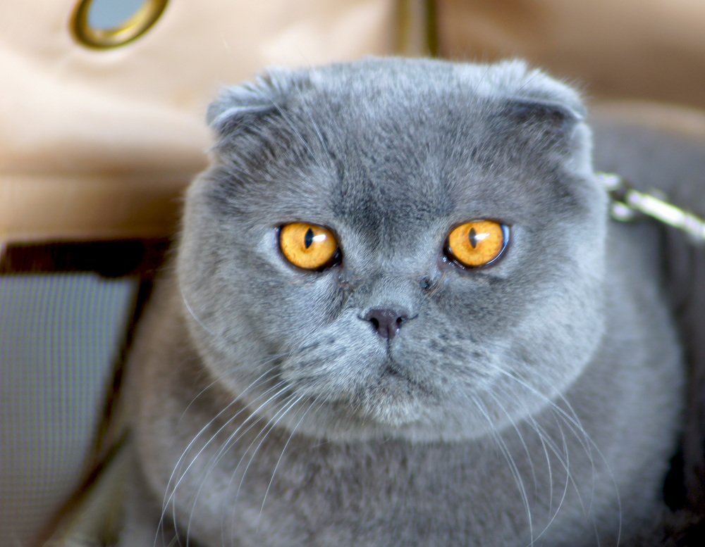 Photograph by Михаил Обертаев