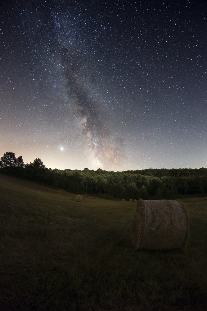 Photograph by Gianluca Pisano