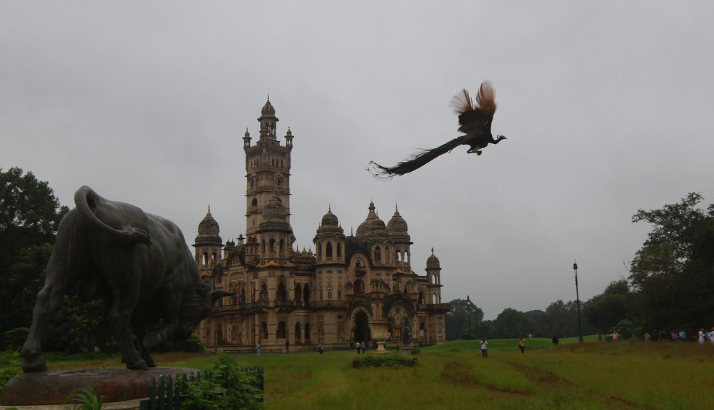Beauty of Nature and Historical Place of Vadodara