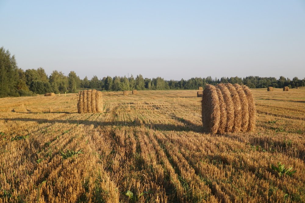 Photograph by Владимир Богоненко