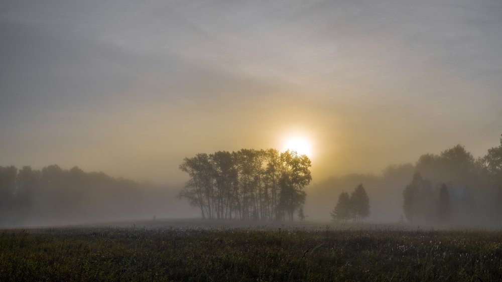 Фотография автора Николай Авакян