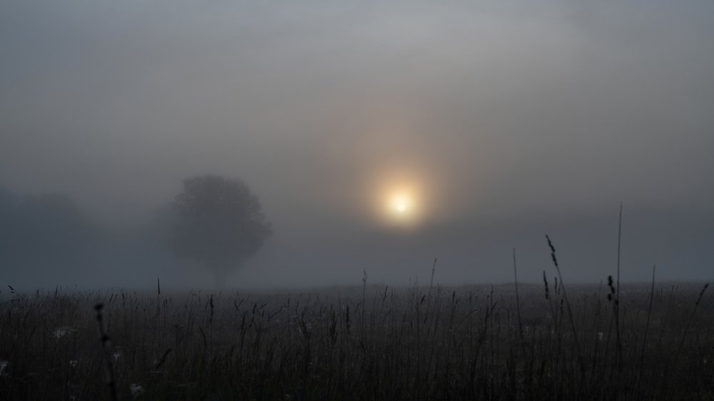 Фотография автора Николай Авакян