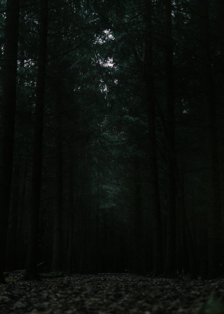 Photograph by Федор Карасев