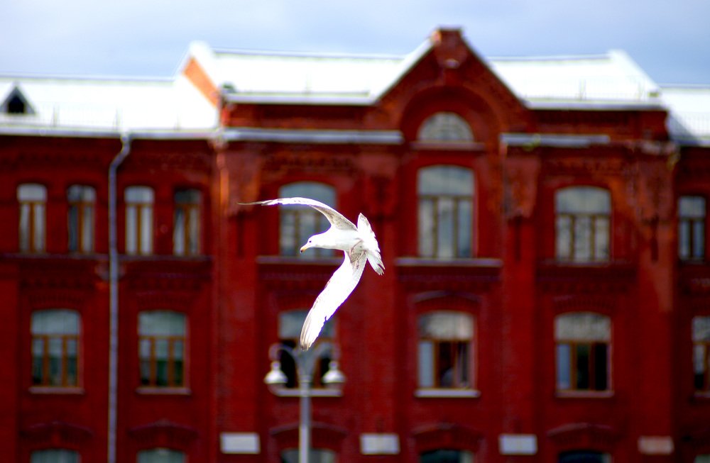 Photograph by Михаил Обертаев