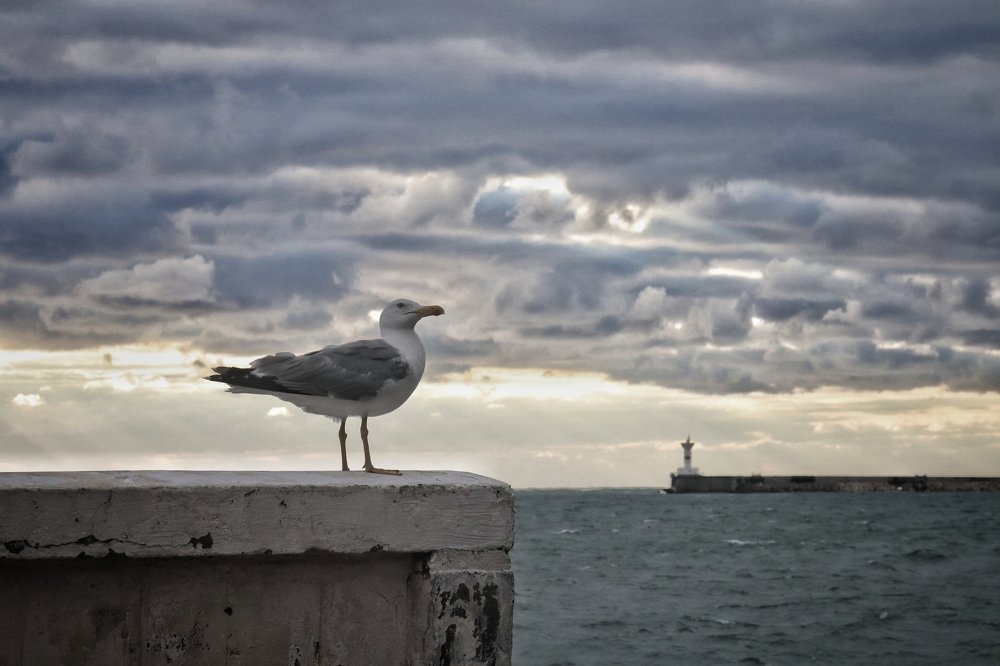 Photograph by Ирина Шумкова