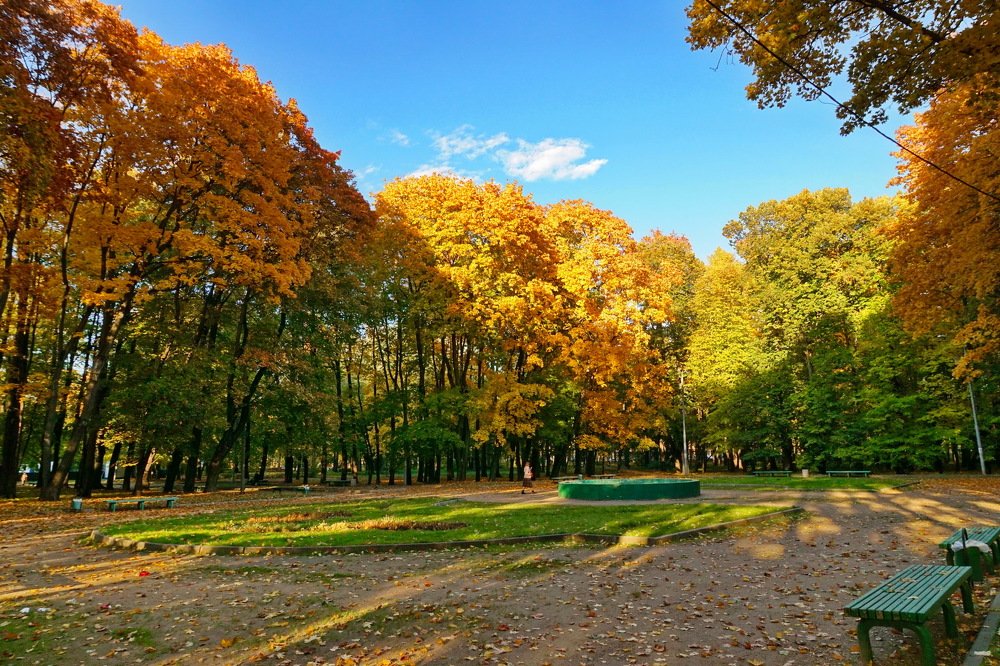 Осень в парке.