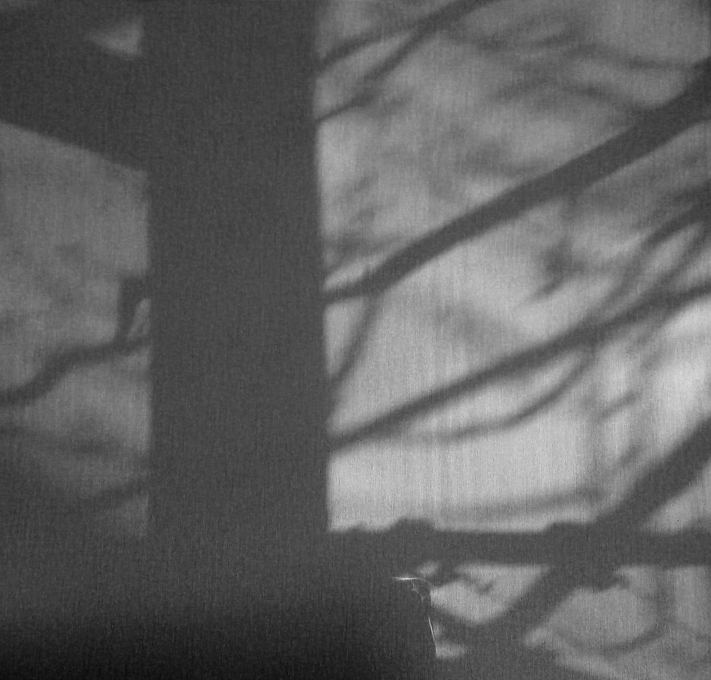 Photograph by Светлана Гок