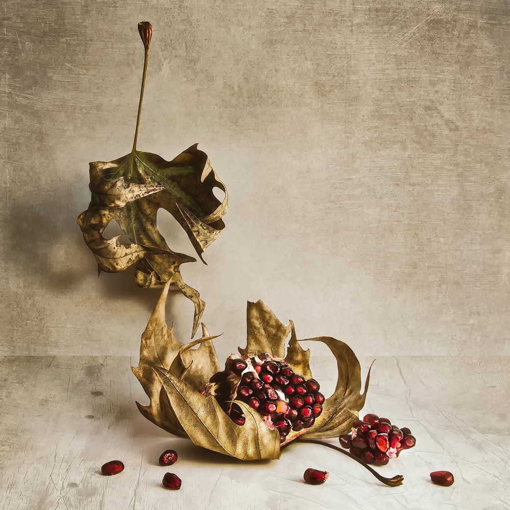 Photograph by Вячеслав Кудиевский