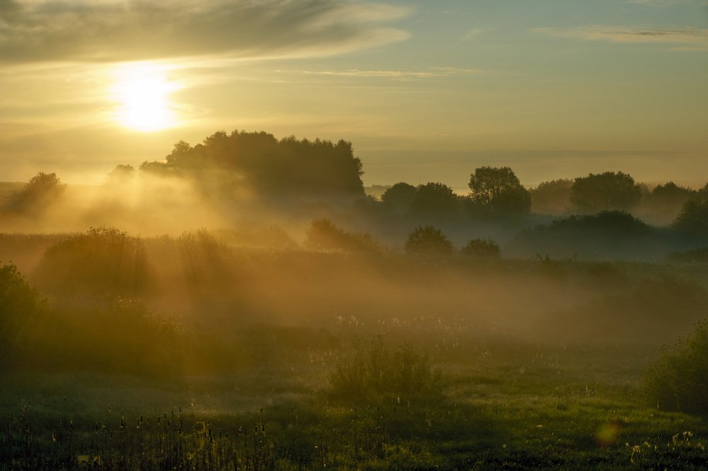 Фотография автора Александр Дюльгер