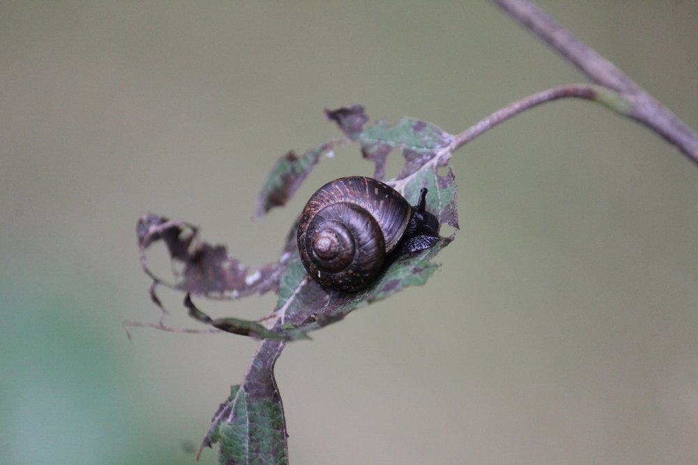 Photograph by Ирина Комарова