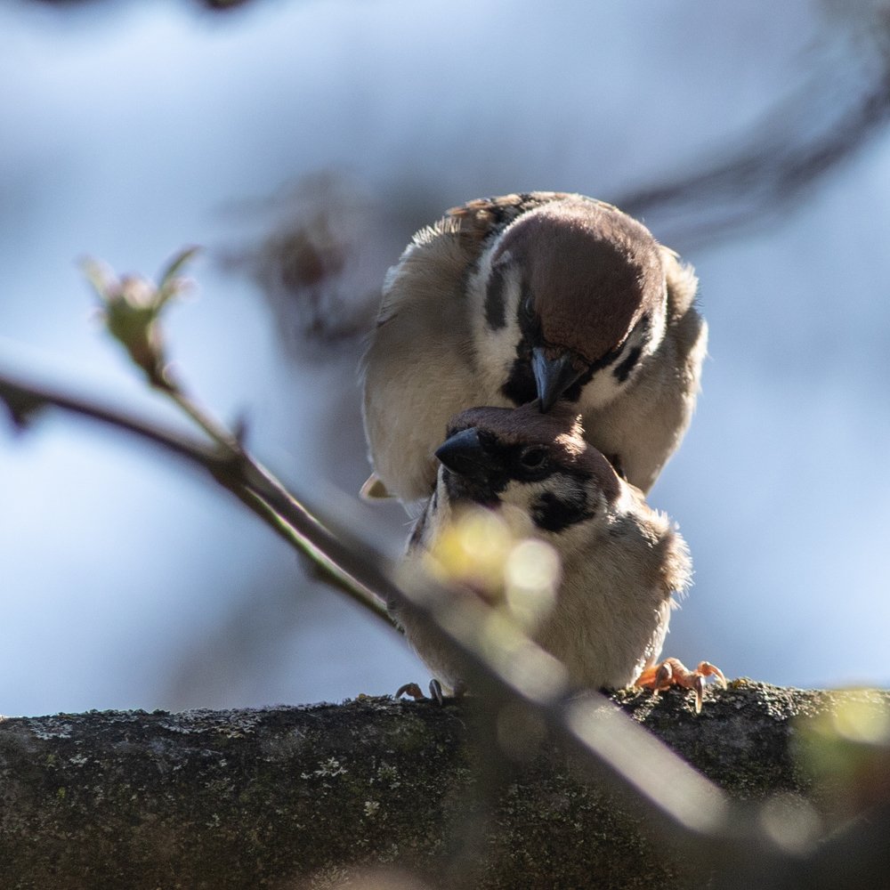 Photograph by Кирилл Сафонов