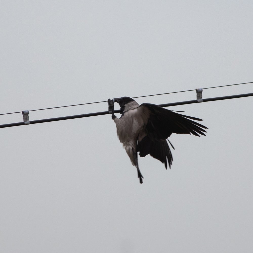 Photograph by Кирилл Сафонов