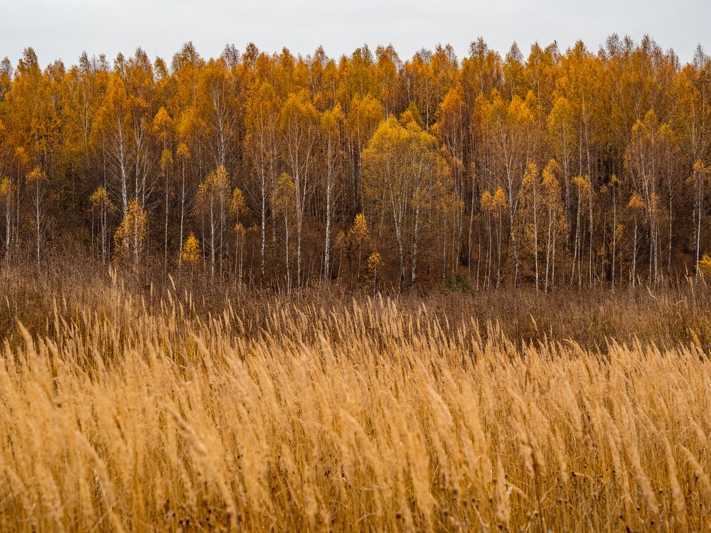 Photograph by Sergey