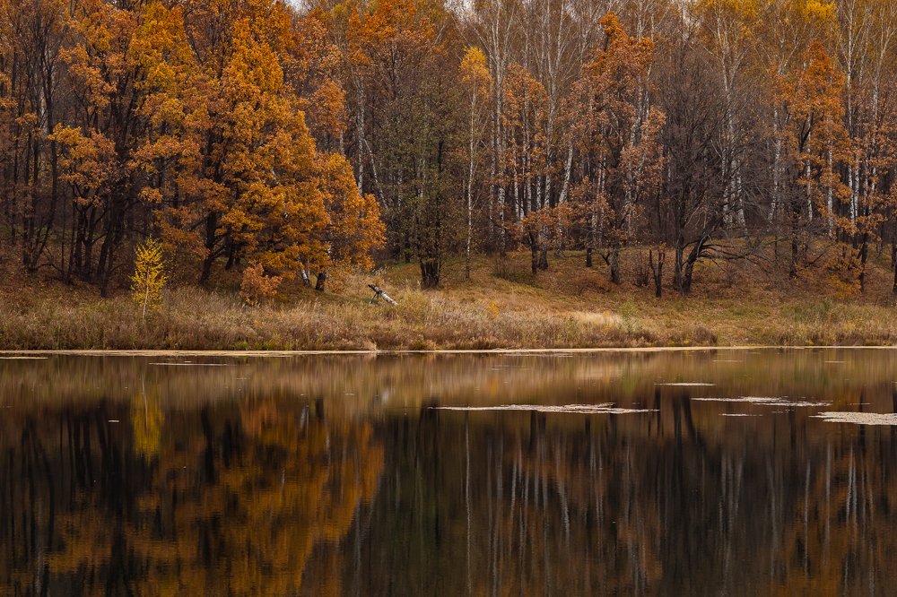 Photograph by Sergey