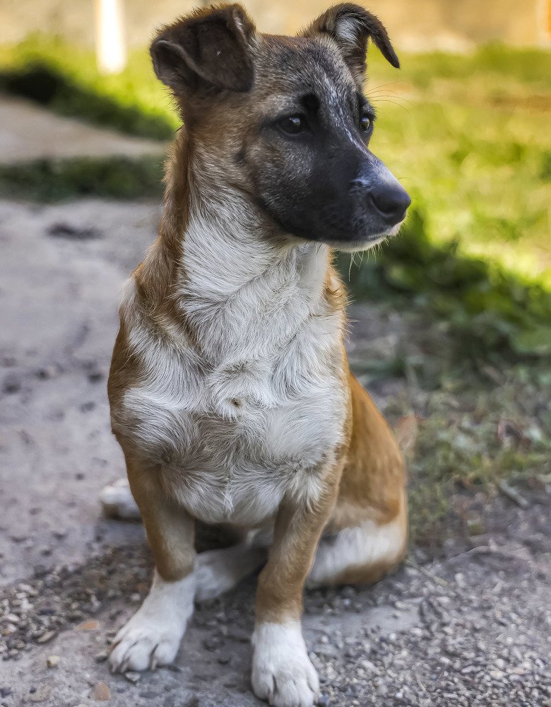 Photograph by Владимир Кульбит