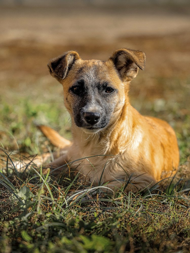 Photograph by Владимир Кульбит