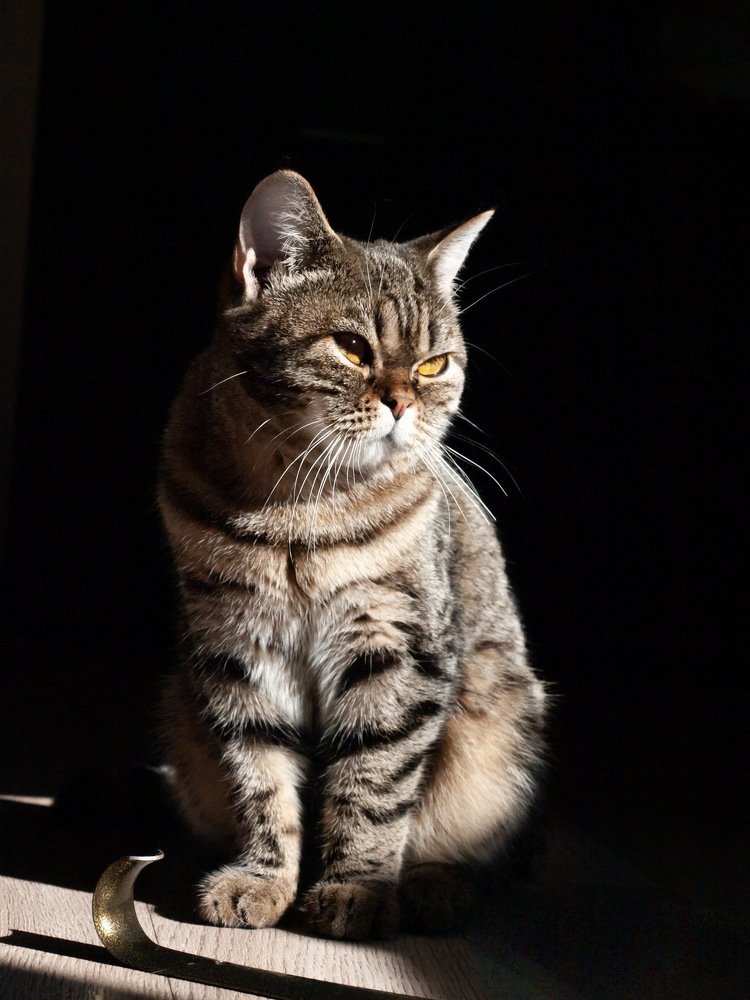 Photograph by Мария Бублик