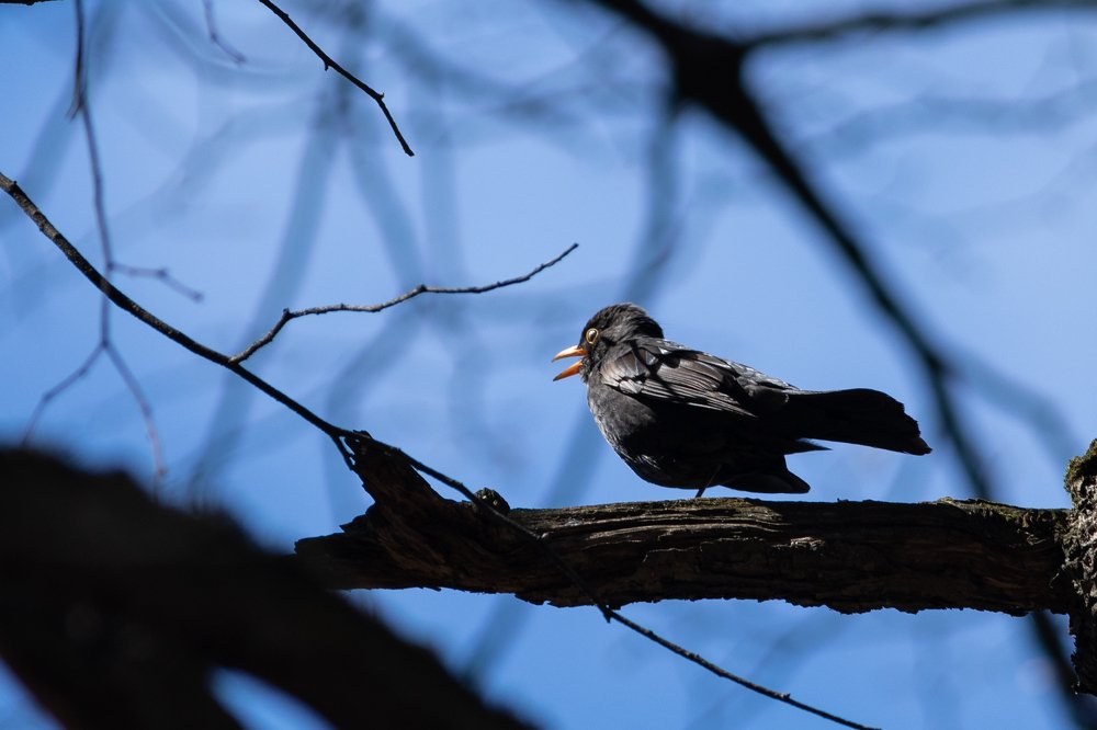 Photograph by Кирилл Сафонов