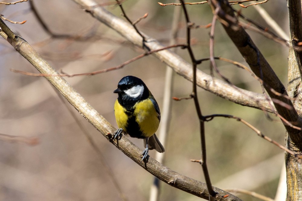 Photograph by Олег Башкуров