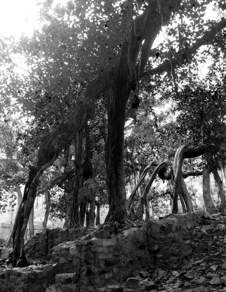 Photograph by Kapil Singh