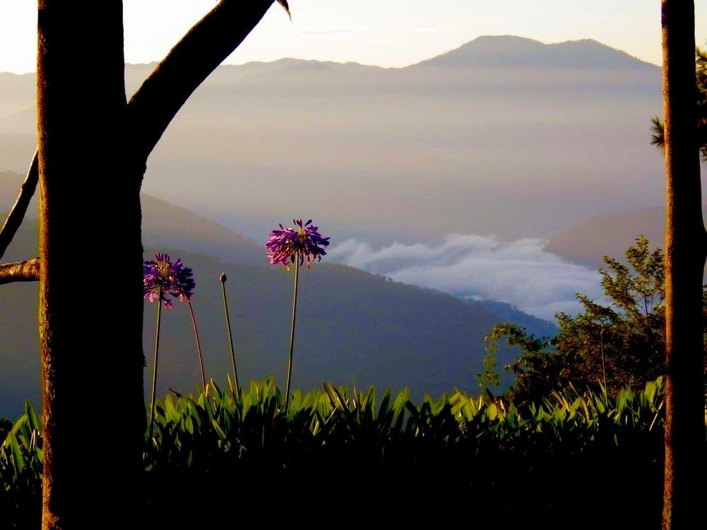 NATURE AT ITS FINEST