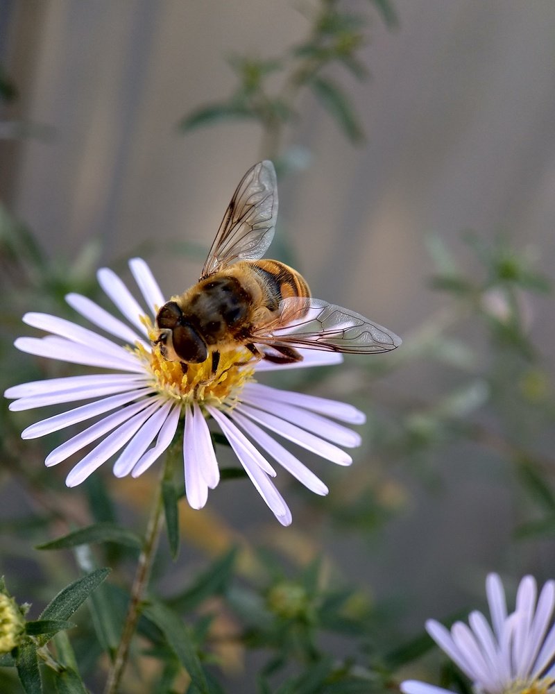 Photograph by Татьяна Чухина