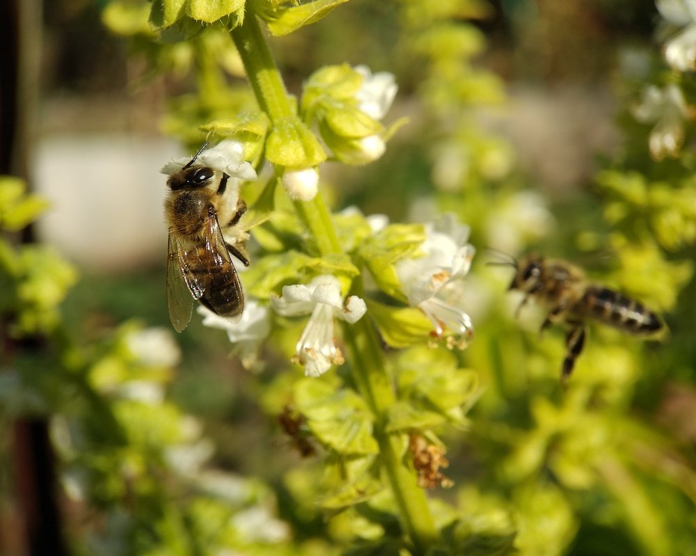 Photograph by Татьяна Чухина